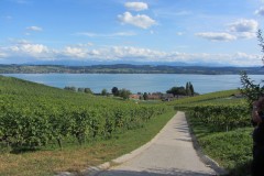 IMG_3770