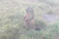 IMG-20220910-WA0005