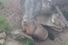 IMG-20220910-WA0006